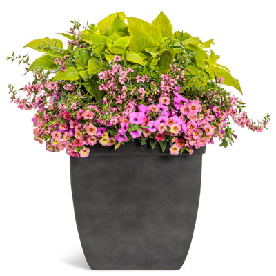 AquaPots® Lite Urban - Courtyard - NEW!