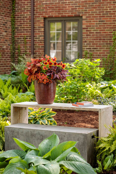 Proven Winners® Annual Plants|Calibrachoa - Superbells Double Orange 2